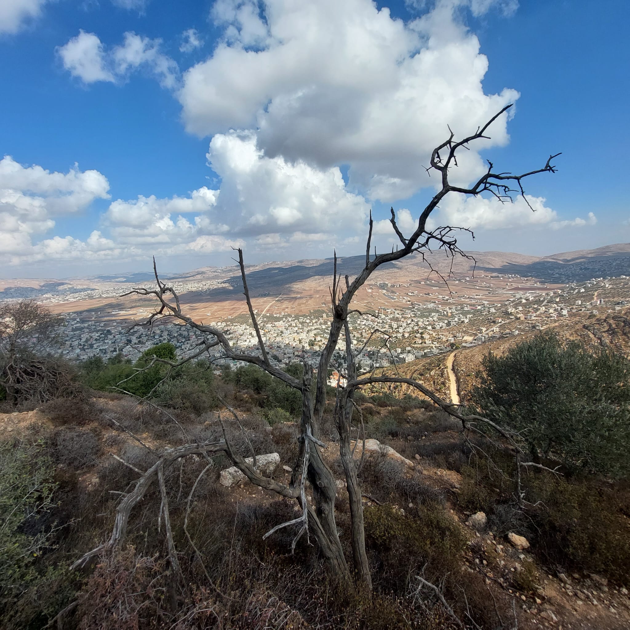 البلدة في صور